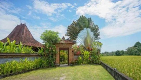 Гостиница Rumah Sungai Villa  Убуд